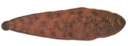 Gtipi 03022980 olan AB BTB görseli 48458