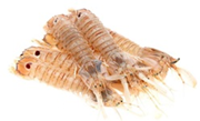 Gtipi 03063690 olan AB BTB görseli 49116