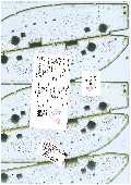 Gtipi 85122000 olan AB BTB görseli 49117