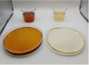 Gtipi 21069098 olan AB BTB görseli 50434