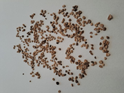 Gtipi 14049000 olan AB BTB görseli 50766