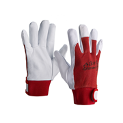 42032910 gtipli Deri iş eldiveni (perakende paketli). Ab btb görseli