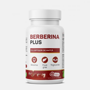 Gtipi 21069098 olan AB BTB görseli 52391