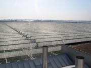  Harmonika böcek koruma ağı. GTİP 63079098 AB BTB görseli 3