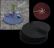  Lahana sineği koruyucu diskler. GTİP 48239085 AB BTB görseli 1