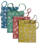  PVC Hediye Poşetleri. GTİP 39232910 AB BTB görseli