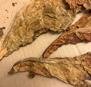  Kurutulmuş, soyulmamış tütün yaprakları. GTİP 24011060 AB BTB görseli 2