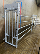 84368090 gtipli Sığır sabitleme taşıma sistemi. Ab btb görseli