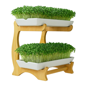  Tere filiz yetiştirme seti. GTİP 73239300 AB BTB görseli 2