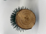 Gtipi 67029000 olan AB BTB görseli 54049