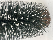 Gtipi 67029000 olan AB BTB görseli 54050