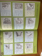  Çıkartmalı çocuk etkinlik kitabı. GTİP 49030000 AB BTB görseli 2