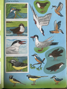  Çıkartmalı çocuk etkinlik kitabı. GTİP 49030000 AB BTB görseli 3