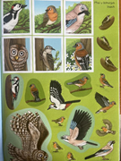  Çıkartmalı çocuk etkinlik kitabı. GTİP 49030000 AB BTB görseli 4